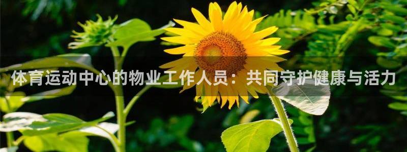 谈球吧体育
