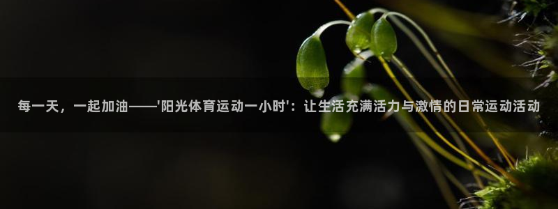 谈球吧