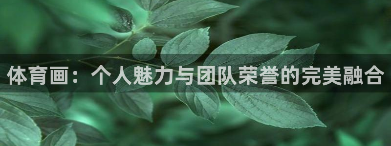 谈球吧
