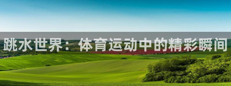 谈球吧体育