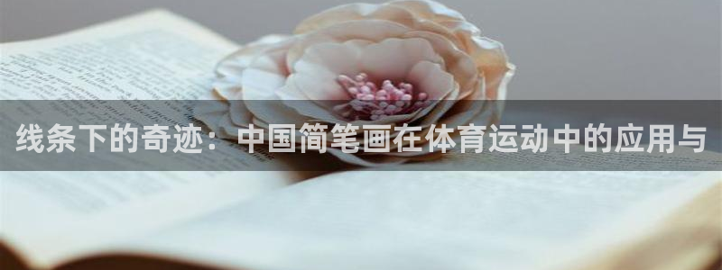 谈球吧