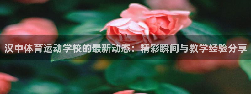 谈球吧体育官网