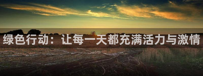 谈球吧